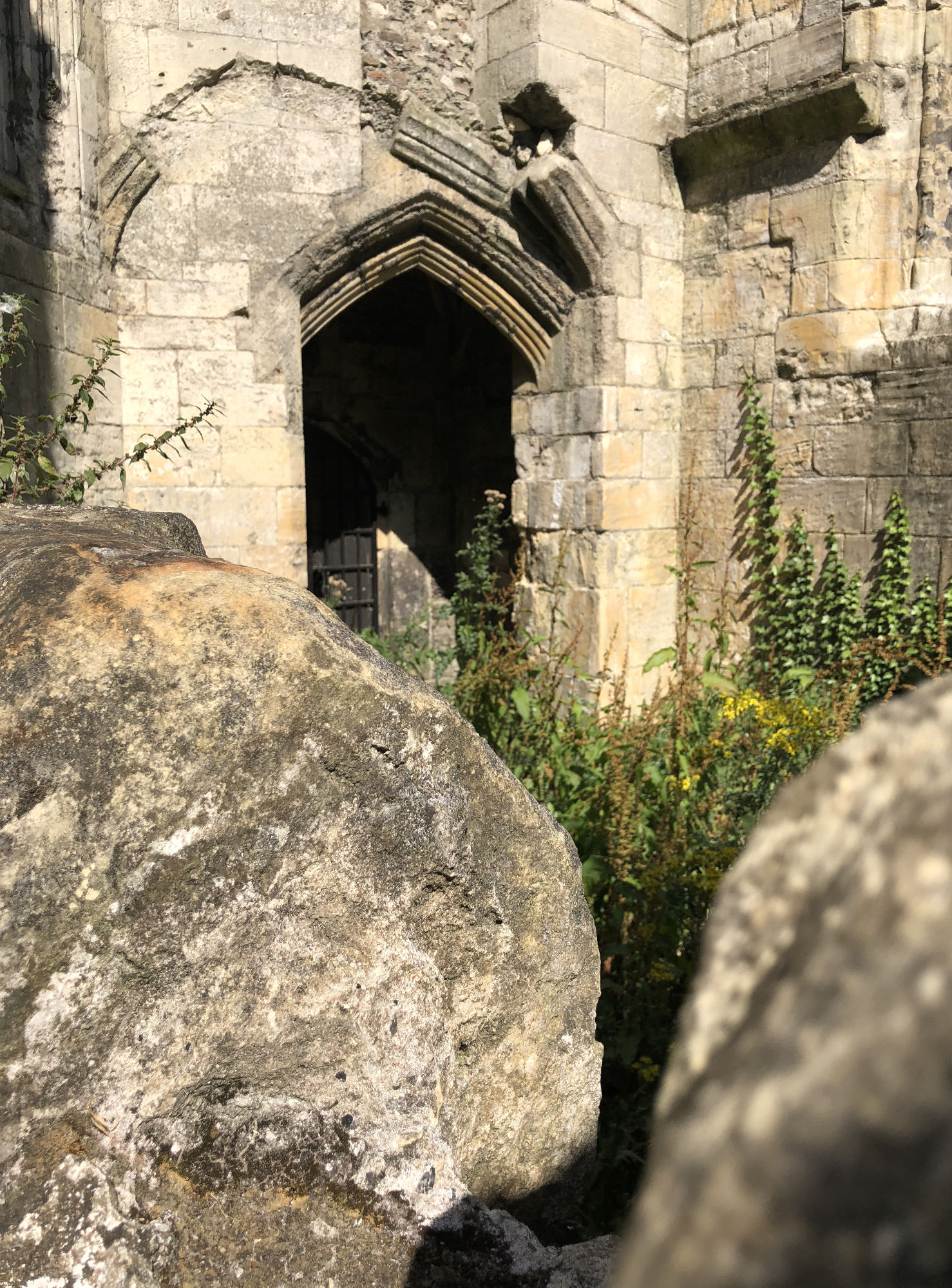 Peeking into the Howden Choir Ruin